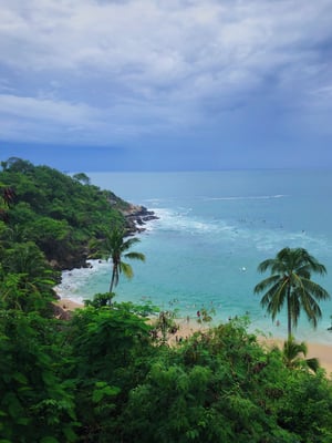 Pacific Ocean Views